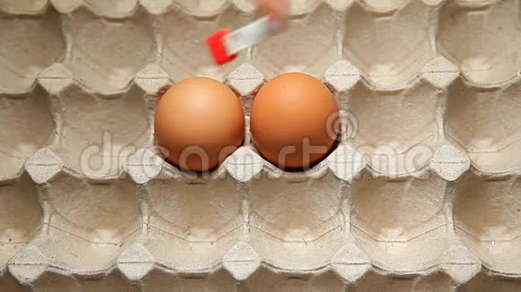 鸡蛋纸盒背景视频的预览图