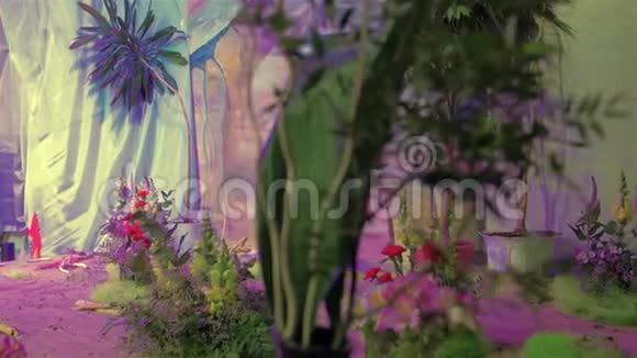 装饰花园喷泉视频的预览图