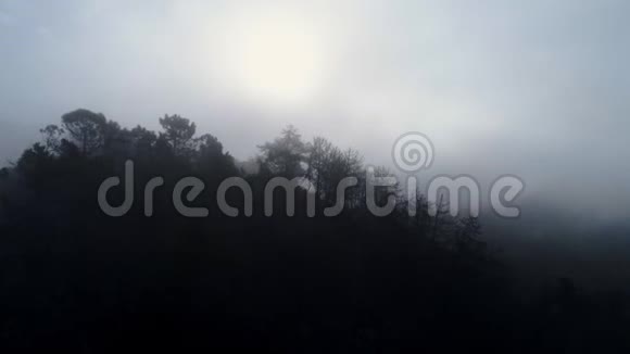 雾中山坡上的鸟瞰剪影烧毁了树木视频的预览图