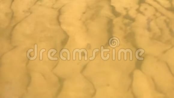 沙底湖透明水河底沙丘视频的预览图