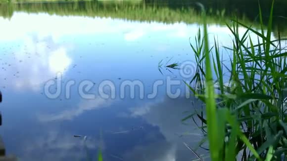 水面用流水撇子在湖上奔跑的水视频的预览图