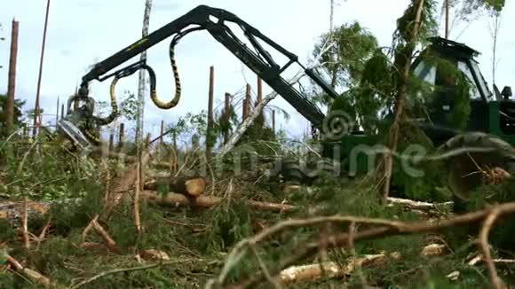 机械手装载和锯木从事木材工作的工业森林收割机视频的预览图