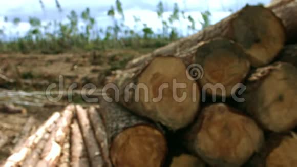 伐木区内有掉落的原木有截短树干的桩视频的预览图