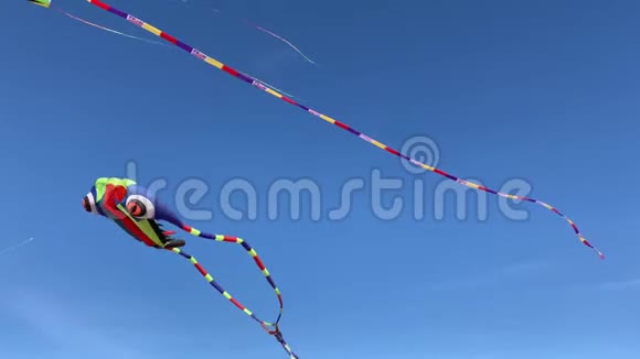 蓝天上美丽的条纹风筝视频的预览图