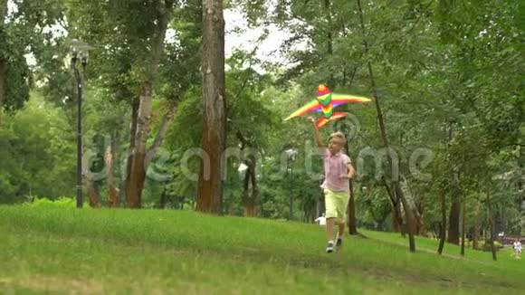 小男孩在公园里放风筝快乐的童年自由的灵感慢悠悠视频的预览图