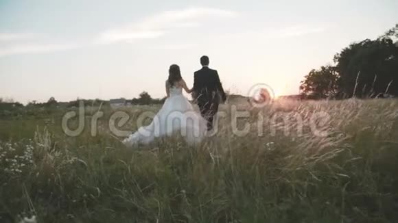 日落时分新婚夫妇在绿草上散步视频的预览图