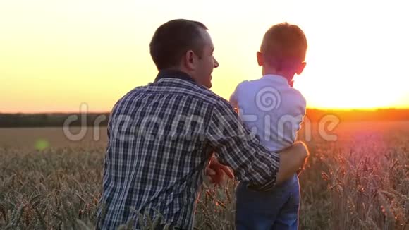 一个快乐的父亲在日落时在麦田里亲吻他的孩子人的情感和关系视频的预览图