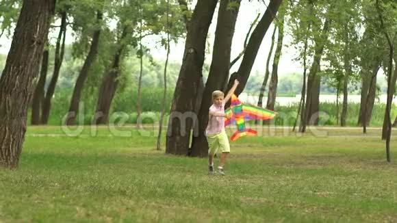 男孩在公园放风筝童年的回忆快乐的灵感视频的预览图