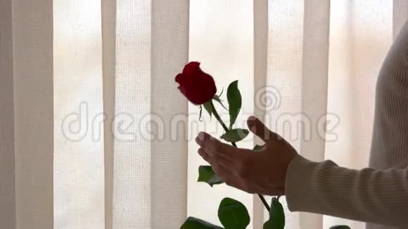 男性手和玫瑰视频的预览图