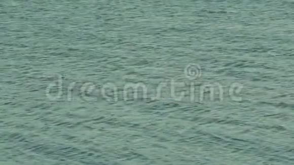 平静的水面在海浪中视频的预览图