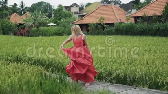 一个年轻漂亮的金发女郎在绿色的稻田上翩翩起舞一支缓慢优雅的舞蹈挥动着她的长发视频的预览图