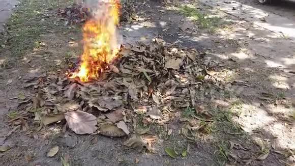 燃烧废弃物产生的火焰枯叶造成烟尘大气污染造成空气中的毒性燃烧全球温暖的概念视频的预览图