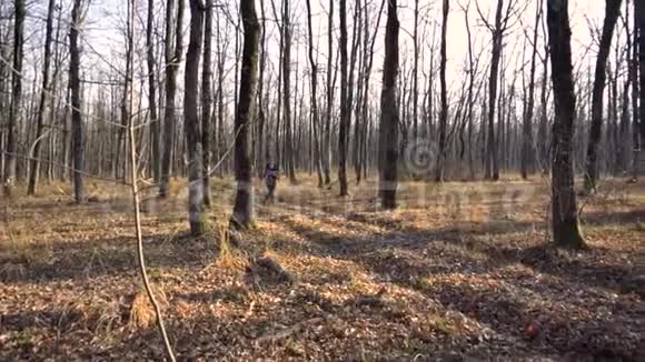 有教养的胖女孩穿过秋天的森林与超重作斗争视频的预览图