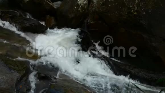 瀑布流在森林里的岩石上视频的预览图