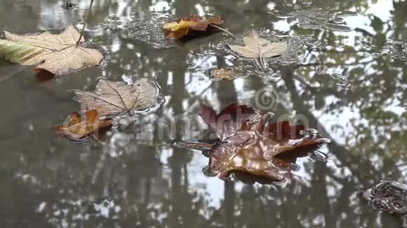 水滴落在水里很多水滴痕迹水上同心圆自然背景多云视频的预览图