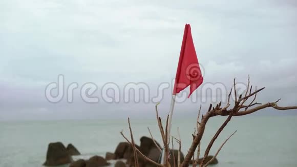海滩上的红旗视频的预览图