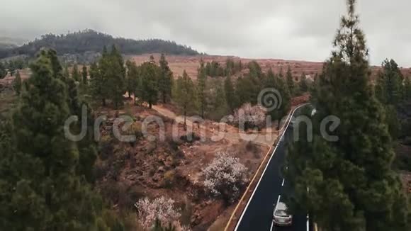 空中射击起飞相机在树梢上汽车正在开一条新的沥青路通向远处的山脉新鲜视频的预览图