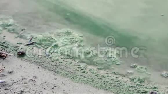 沙滩海岸藻类在水和沙子中开花带霜的波浪无人视频的预览图