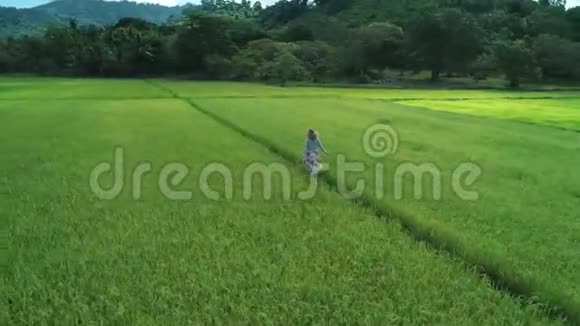 4飞机上的无人机镜头显示菲律宾厄尔尼诺现象的稻田里一个穿裙子的金发女孩视频的预览图