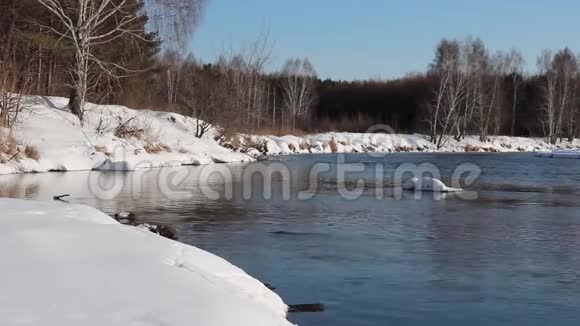 解冻的河流在白雪覆盖的白桦林海岸之间流动视频的预览图