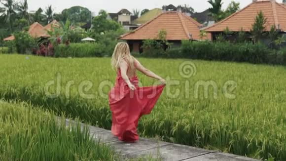 从一个美丽苗条的女孩的背部看欧洲在稻田里跳舞跑跳展示她的情绪视频的预览图