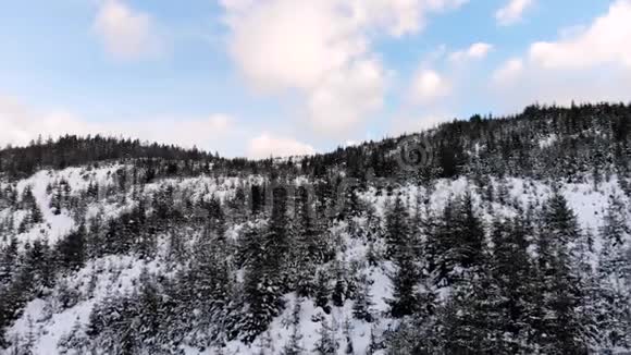 山里的冬天冬林从鸟瞰山上白雪覆盖的树木蓝天射击视频的预览图