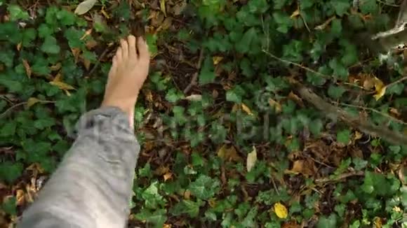 光着脚在树林里散步的人视频的预览图