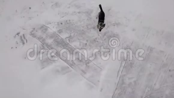 狗吠极速奔跑投掷飞行无人机冬天视频的预览图