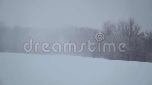冬季景观有雪场和风暴云慢运动视频的预览图