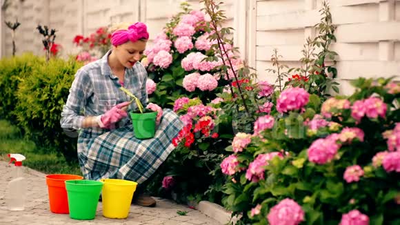 一个女人在夏天看花微笑的女人在她的院子里挖花浇水一个美丽的女人视频的预览图