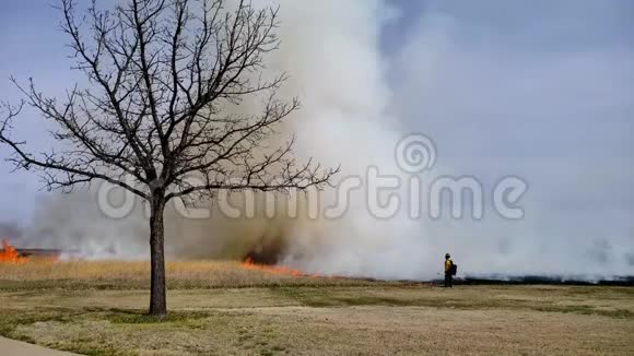 用消防员和前景树进行草原恢复的草火视频的预览图