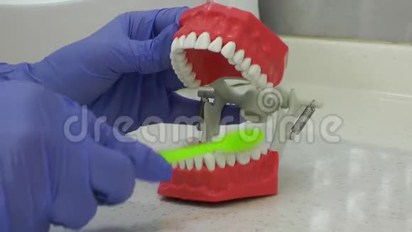 牙齿教育模式及牙刷刷牙训练视频的预览图