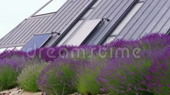 屋顶和薰衣草花的绿色能源视频的预览图