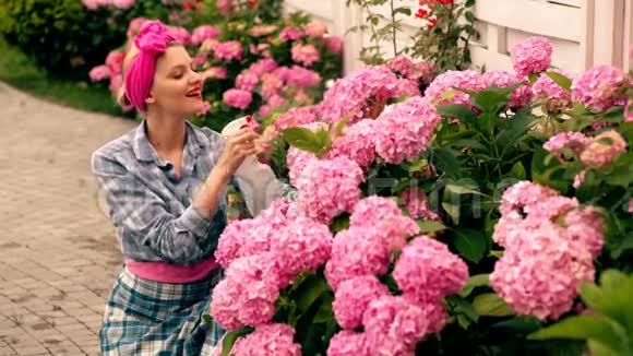 夏天女人在院子里浇花女人喜欢粉色绣球花爱护花朵的观念粉色视频的预览图