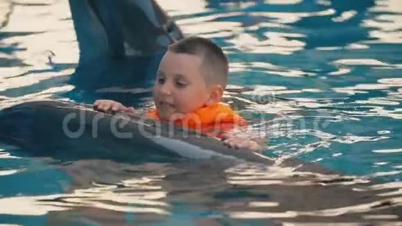 男孩和海豚在游泳池里游泳视频的预览图