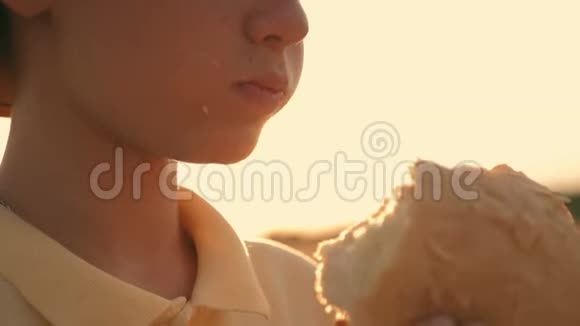 日落时分在麦田里吃面包的男孩农夫视频的预览图