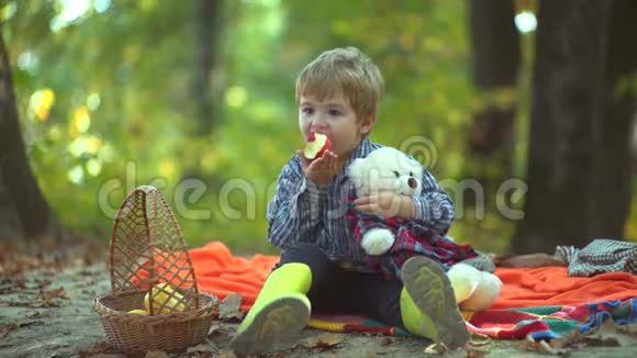 孩子们秋天快乐在秋林中嬉戏秋天花园里的小男孩美丽的秋天的孩子视频的预览图