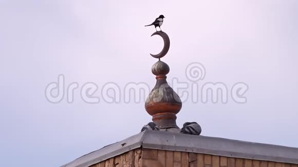 新月象征和屋顶上的鸟类视频的预览图