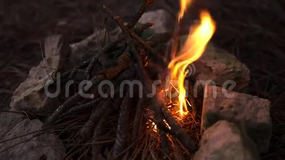 在森林里的营地开始野营制作篝火燃烧过程自然背景旅行冒险舒适视频的预览图