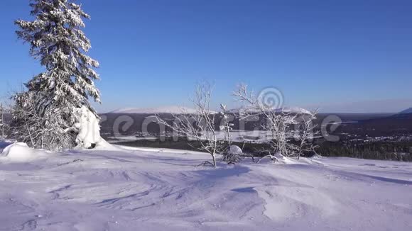 芬兰拉普兰地区山顶冬季大风视频的预览图