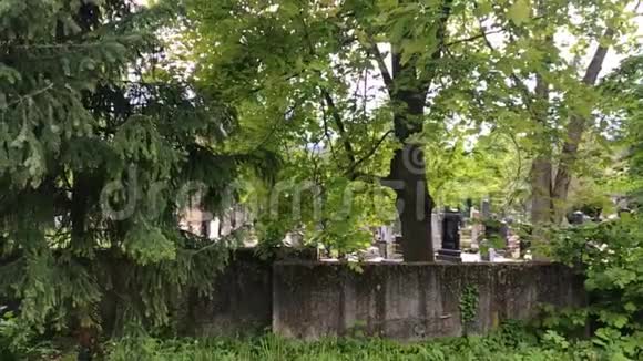 和老城墓地从石墙后面墓地视频的预览图
