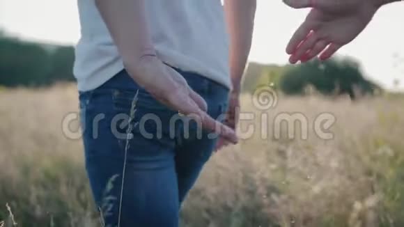 一对恋爱中的年轻夫妇一男一女手牵手在晴朗的夏天穿过田野视频的预览图