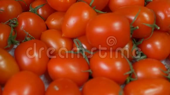 成熟多汁的红樱桃西红柿背景特写番茄慢动作蔬菜视频的预览图