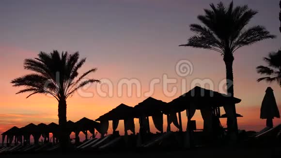 美丽的塞浦路斯海滩休闲区棕榈树和帐篷在风景如画的日落背景下时间跨度视频的预览图