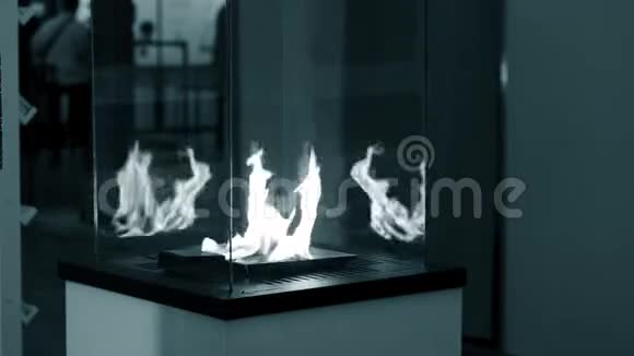 燃烧着的火焰近在咫尺生物壁炉燃烧在乙醇气体上视频的预览图