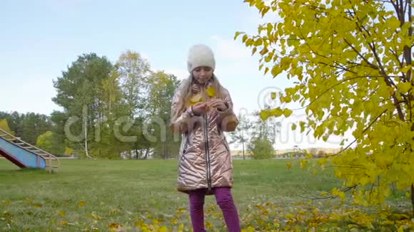 嬉戏的女孩在公园的秋叶里打扫自己视频的预览图