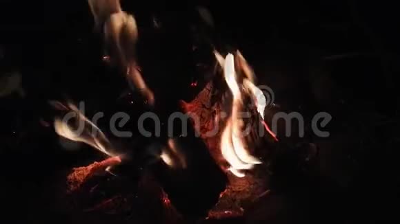 小篝火燃烧视频的预览图
