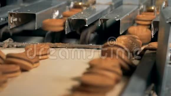 饼干从工厂的装配线上移动4K视频的预览图