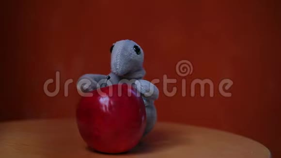苹果毛绒封口木底视频的预览图