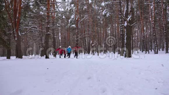 快乐的孩子和爸爸妈妈在冬天在松树公园玩在针叶林带着孩子在雪地里奔跑的父母视频的预览图